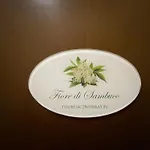 Fior Di Sambuco Broni