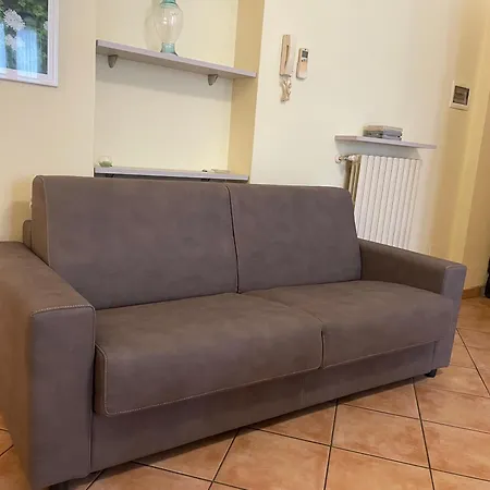 Fior Di Sambuco Broni