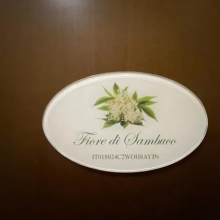 Fior Di Sambuco Broni