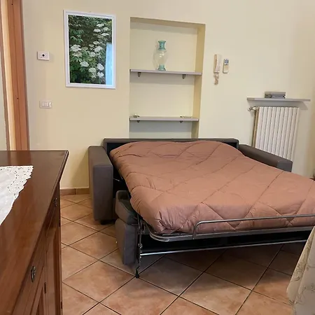 Daire Fior Di Sambuco Broni