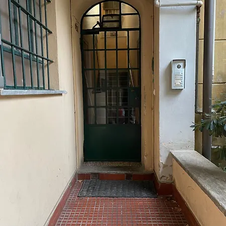 Fior Di Sambuco